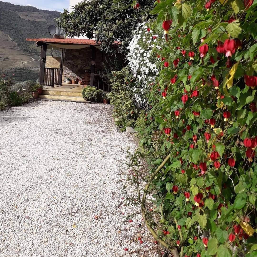 Tomas Barqueiro Hotel Folgosa  Buitenkant foto